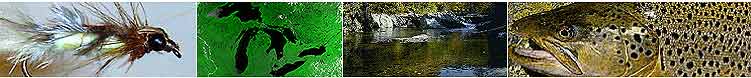 Great Lakes Council banner image showing a tied fly, satellite picture of the Great Lakes Area, a stream and a brown trout.